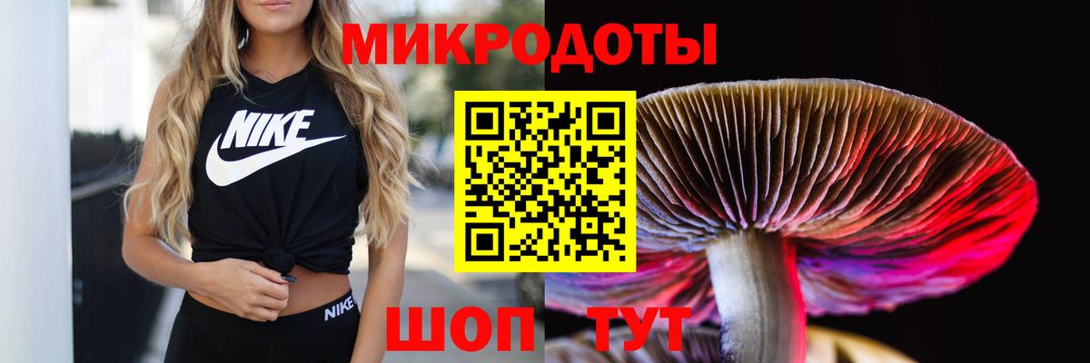 Галлюциногенные грибы Psilocybe  Вход с VPN  Борзя 